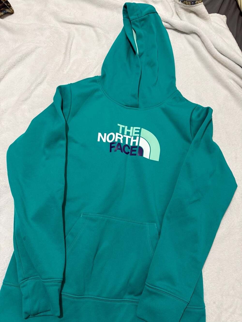 The North Face Half Dome Pullover Hoodie Teal Green